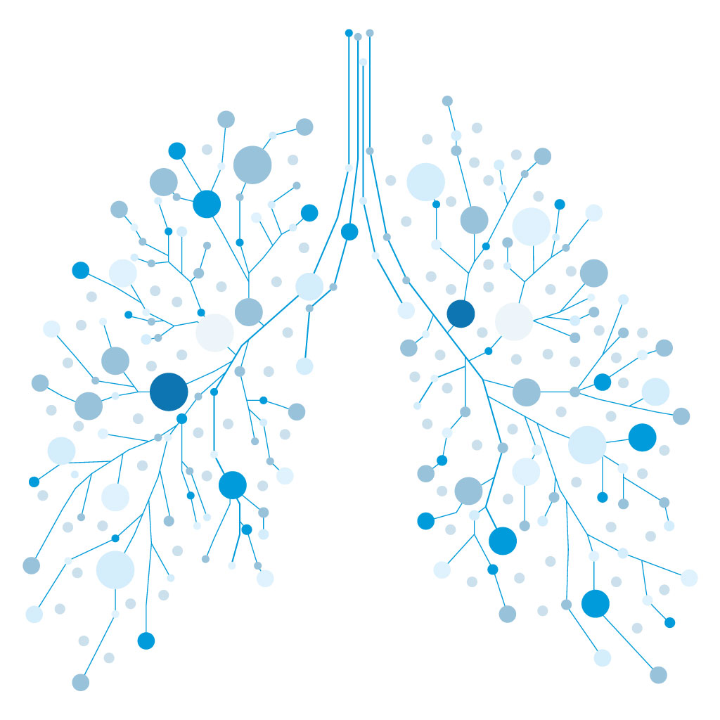 aerosolterapia indicazioni polmoni